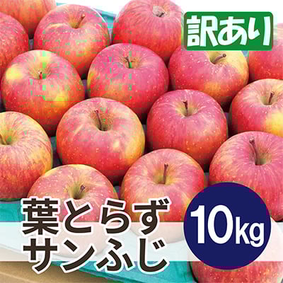 
            ＜2025年11月発送予定＞平均糖度13度以上! 葉とらずサンふじ 約10kg 訳あり【1607470】
          