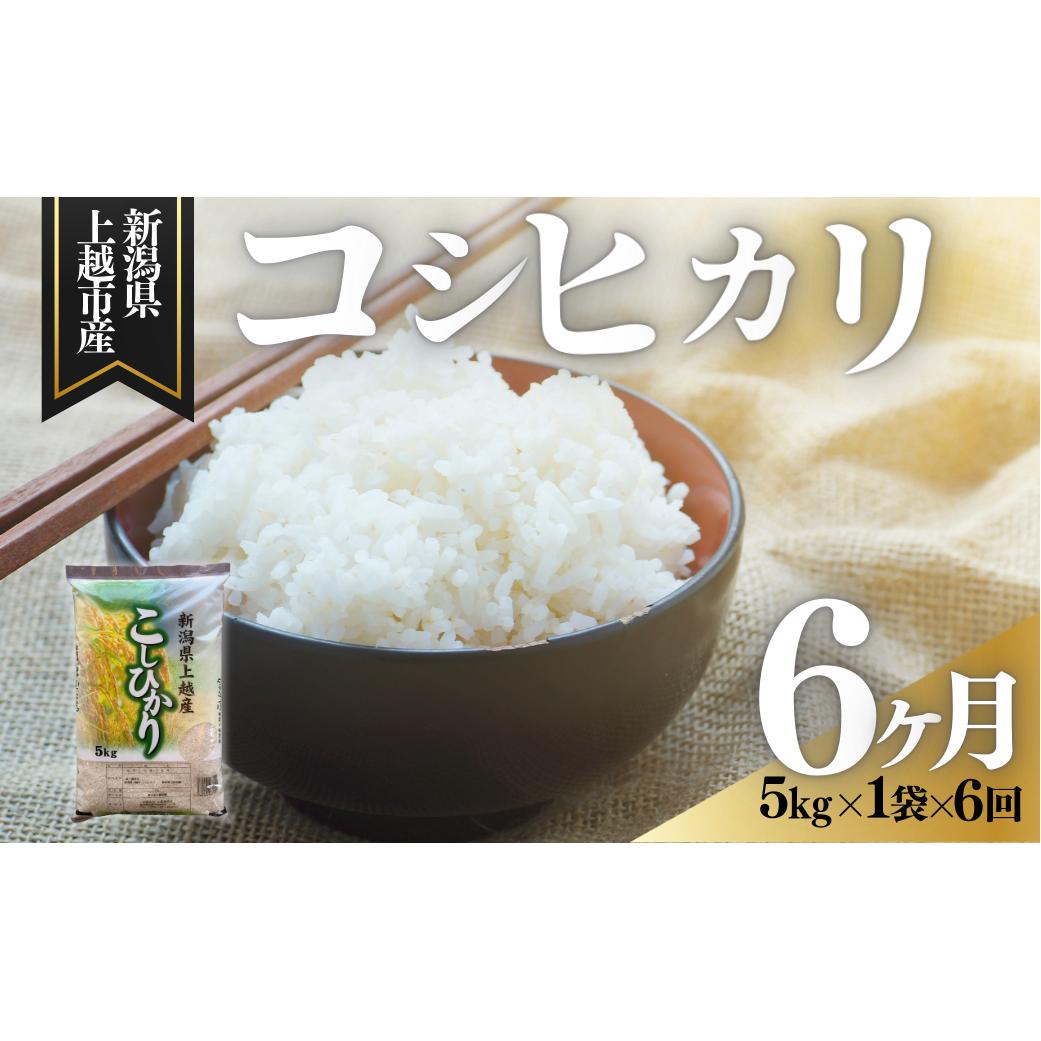 上越市産 新潟 コシヒカリ 5kg 6か月定期便 こしひかり お米 精米 米 ご飯 定期