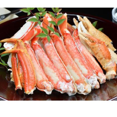 ふるさと納税 香美町 松葉がに 釜茹で 特選 冷凍 兵庫県香住産 約800〜900g×1匹【2026年11月中旬以降発送】 |  | 01