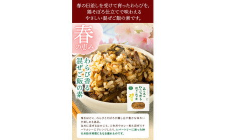 炊き込みご飯の素 混ぜご飯の素セット 各250g×2個 有限会社 やまえ堂 《30日以内に出荷予定(土日祝除く)》山の幸 たけのこ 竹の子 筍 しいたけ きくらげ わらび 炊き込みご飯 混ぜ込みご飯 