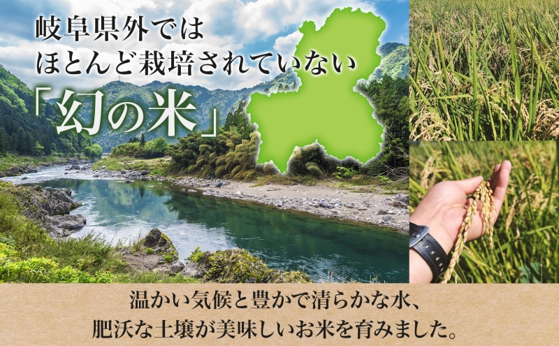 ＜先行予約＞令和7年産 はつしも 精米 10kg×1袋 低農薬 清流育ち 新米 お米 白米 米 ごはん ご飯 ハツシモ R7年産 ブランド米 産地直送 送料無料 美濃グリーン 岐阜県 美濃市 ■202