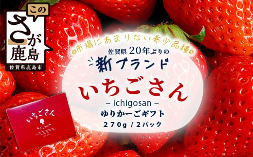 
佐賀県鹿島市産　いちごさん　ゆりかーごギフト　B-728
