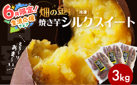 【 期間限定 特別価格 】 畑の金貨 焼き芋 シルク スイート 3kg K181-001_03 やきいも さつまいも さつま芋 サツマイモ 野菜 甘芋 甘い 冷凍 完熟 熟成 糖度 食べ比べ セット 小分け レンジ おやつ スイーツ 人気 ランキング おすすめ オススメ プレゼント ギフト しっとり 滑らか 甘いも販売所 鹿児島 薩摩 加治木産業