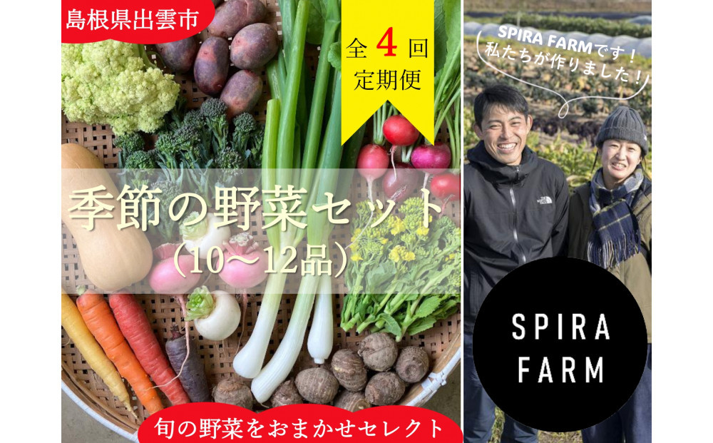 【3か月に1回・全4回定期便】季節の野菜セット10～12品目《栽培期間中 農薬・化学肥料不使用》出雲の旬野菜を季節ごとにお届け［出雲 野菜セット 送料無料 ふるさと納税］ 322032_FY009