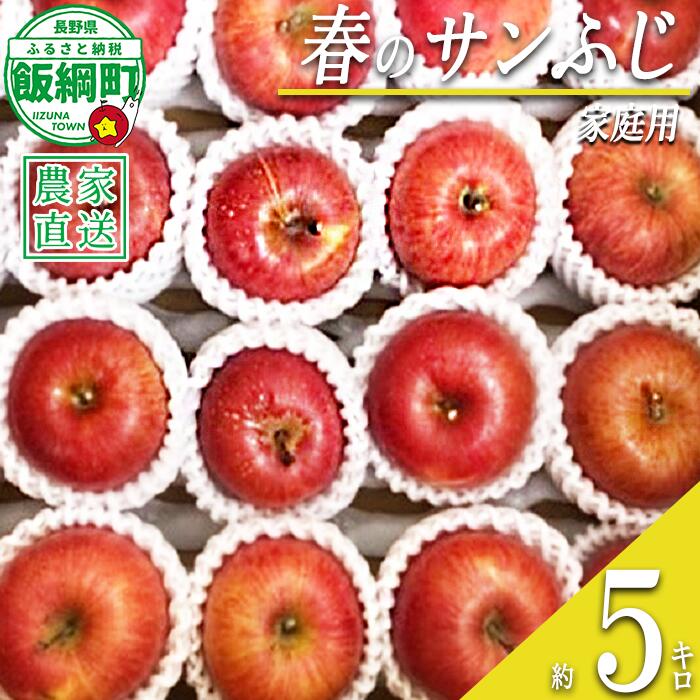 【ふるさと納税】 りんご 蔵出し 早春 サンふじ 家庭用 ( 小玉 ) 5kg 井澤農園 沖縄県への配送不可 令和8年度収穫分 エコファーマー認定 長野県 飯綱町 〔 信州 果物 フルーツ リンゴ 林檎 長野 16000円 予約 農家直送 〕発送時期：2027年3月上旬〜2027年4月上旬 {**}