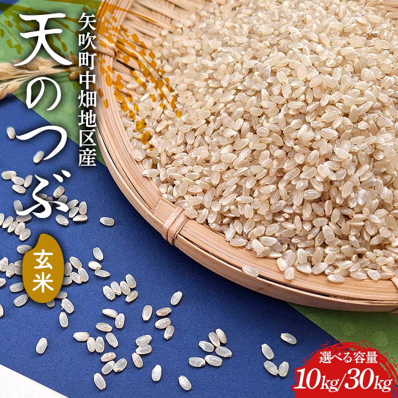 【ふるさと納税】《選べる容量》【令和7年産】矢吹町中畑地区産天のつぶ 玄米 10kg(5kg×2袋) / 30kg(30kg×1袋) F6U-266var