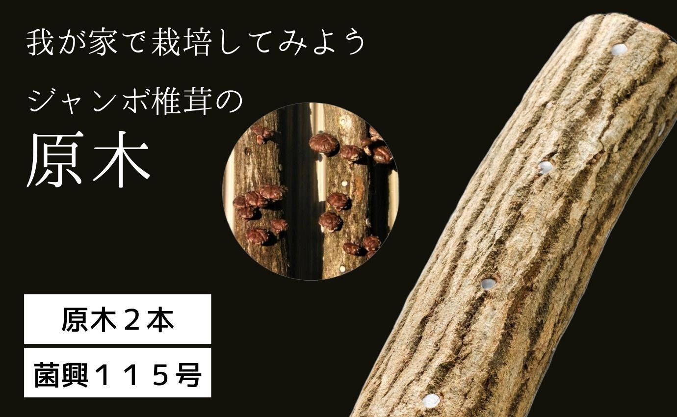 
111．我が家で栽培してみよう　ジャンボ椎茸の原木

