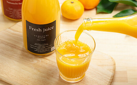 かんきつジュース セット【3本】 柑橘ジュース 柑橘 伊予柑 ポンカン デコポン 宇和ゴールド 河内晩柑 紅まどんな 南津海 ブラッドオレンジ ジュース 詰め合わせ 詰合せ 愛媛県 （893）