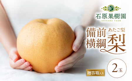 梨 2026年 備前横綱梨（あたご梨） 2玉 (1玉1～1.5kg）贈答箱【11月中旬～12月下旬頃発送】 