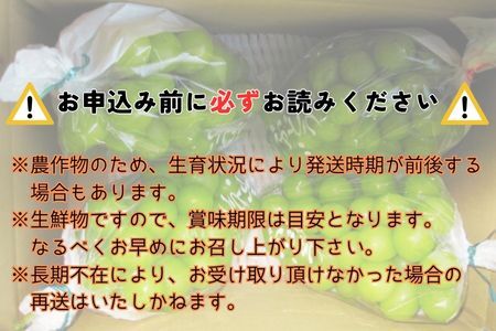 【南信州高森産】シャインマスカット 4房
