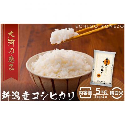 ふるさと納税 新潟市 新潟市産コシヒカリ 白米5kg[54071016]