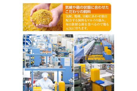 i303 鹿児島県産 白たまご 約10kg  約165個 Mサイズ 【マルイ食品】