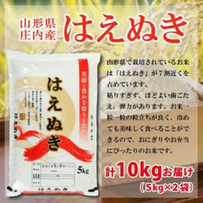 ふるさと納税 酒田市 【令和6年産米】【山形県庄内産】はえぬき5kg×2袋 計10kg　精米 |  | 02