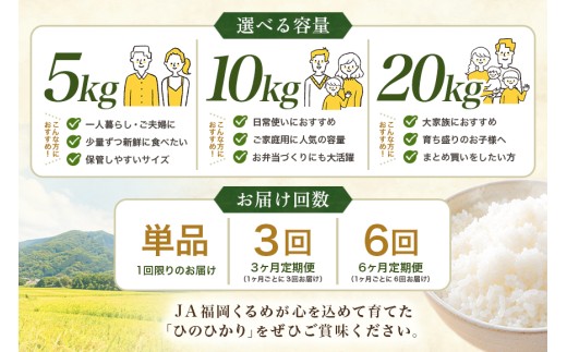 【6回定期便】【ふるさと納税】ひのひかり 米 お米  玄米  20kg 20キロ 福岡県産 うきは市 国産 精米 ご飯 ごはん おにぎり お弁当 人気 おすすめ 家庭用 送料無料 令和7年度産 ストッ