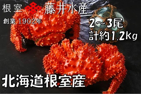 北海道根室産 鮭匠ふじい ボイル花咲がに3～6尾(計約2kg)