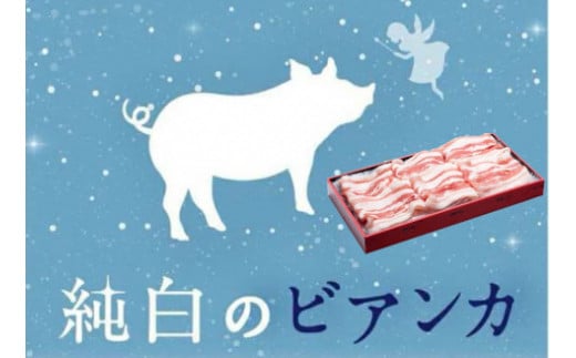 純白のビアンカ 豚バラしゃぶしゃぶ用 500g 豚肉 ぶた ぶた肉 肉 お肉 国産 冷凍 箱入り のし 贈答 ギフト プレゼント お中元 お歳暮 父の日 母の日 敬老の日 鍋 すき焼き 蒸し 新鮮 新潟県 阿賀野市 冷凍 1D02007