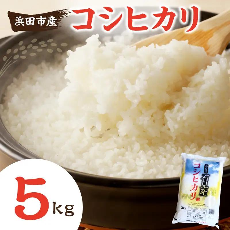 浜田市産コシヒカリ5kg(5kg×1袋) 【197_1967】