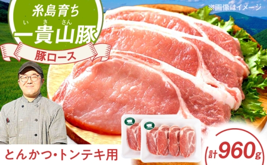 一貴山豚 ロースとんかつ・トンテキ用 計960g(120g×8枚) 糸島市 / いきさん牧場 豚肉 冷凍 [AGB031]