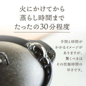 南部鉄器 南部ごはん釜5合炊 IH調理器 伝統工芸品 [Z0049]