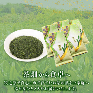 137-2 深蒸し茶 金印 5本+包装袋2枚 静岡県 牧之原市 マルイ伊藤製茶  