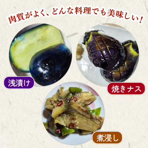 なす 1㎏ 大小8～15個 新潟黒十全なす なす なす なす なす なす tsuguchan002