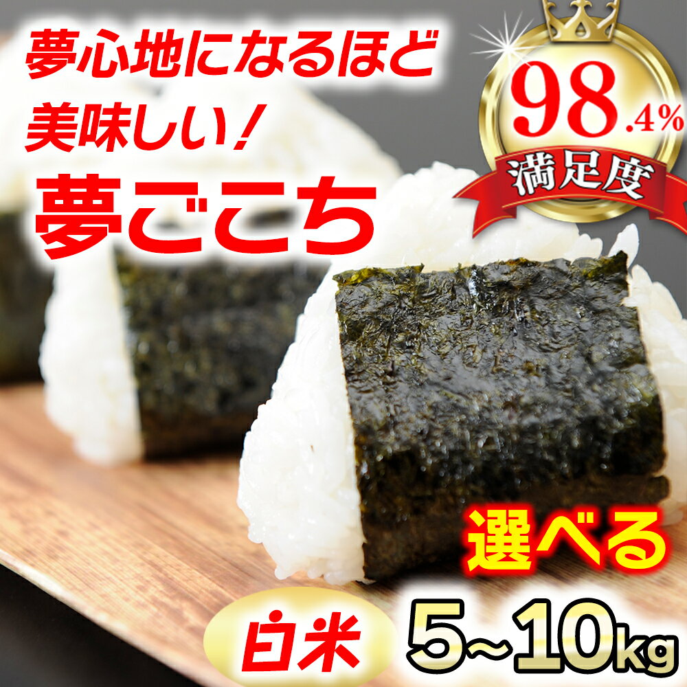 【ふるさと納税】【6年産】近江米夢ごこち 白米