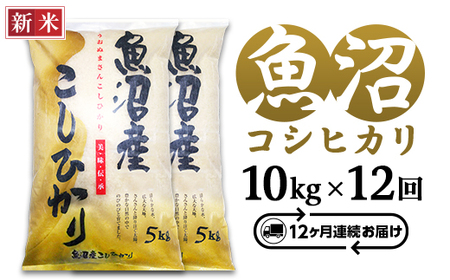 C2-7K10ZC【12ヶ月連続お届け】新潟県魚沼産コシヒカリ10kg（5kg×2袋）（長岡川口地域）