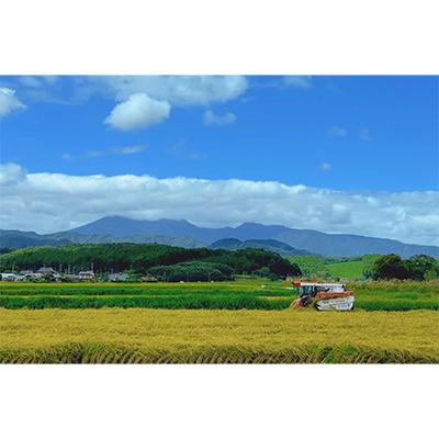 ふるさと納税 塩谷町 令和7年産有坂ファームのコシヒカリとゆうだい21(3k×2)手作り味噌(800g)のセット |  | 02