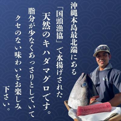 ふるさと納税 国頭村 【沖縄県産】天然キハダマグロ 1kg |  | 01