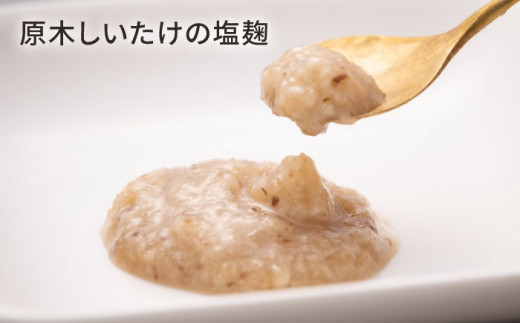 塩こうじ しおこうじ 塩糀 発酵食品 発酵調味料 健康 レシピ 塩麹鍋 塩麹漬け  麹 ギフト 詰合 贈答 ドレッシング