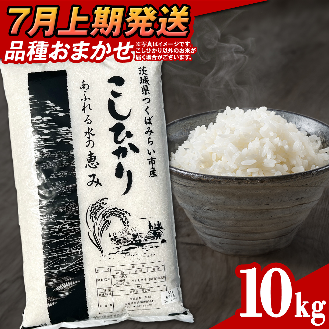 【 7月上期発送 / 数量限定 】茨城県つくばみらい市産 精米 10kg (品種おまかせ） 令和6年産 こしひかり 米 コメ こめ 単一米 限定 茨城県産 国産 美味しい お米 おこめ おコメ