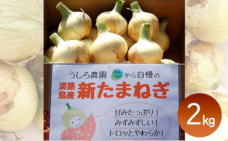 
                  淡路島産 新玉ねぎ 2kg うしろ農園 極早生 玉ねぎ 玉葱 タマネギ 甘い 野菜 兵庫県 洲本市 淡路島 [№5395-0458]
                