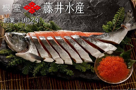 【北海道根室産】[鮭匠ふじい]秋鮭新巻鮭1.3kg・いくら80g×3P B-42010