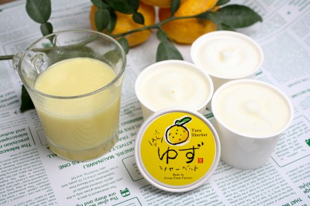 TOSAの野菜アイス！SELECT アイス＆シャーベット 6個セット