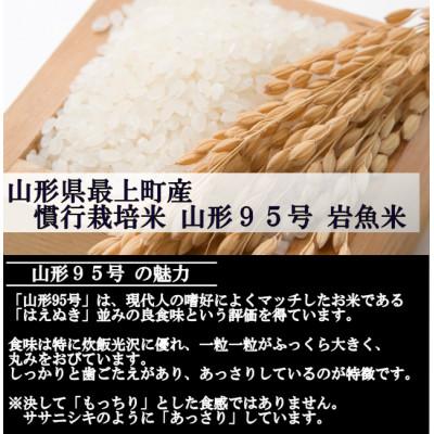 ふるさと納税 最上町 新米　令和8年産 慣行栽培米 山形95号　白米 20kg　山形県産　西塚農場 |  | 01