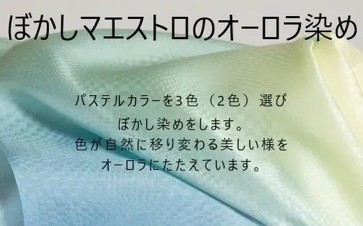 ストール 絽紗 白を贈る?This is JAPAN グラデーションストール