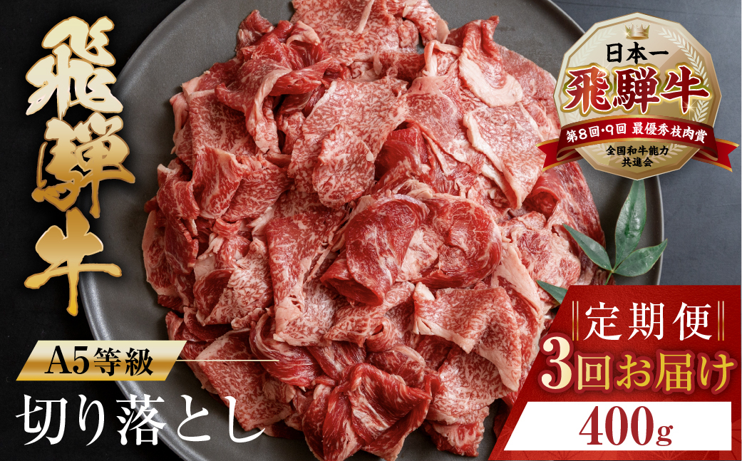 
トキノ屋食品 A5等級 飛騨牛切り落とし 400g 3回お届け定期便 [mt403] 牛肉 肉 和牛 国産牛 肉 焼肉 すき焼き a5 不揃い 小分け 冷凍 日付指定 トキノ屋食品 本巣市 のし対応可
