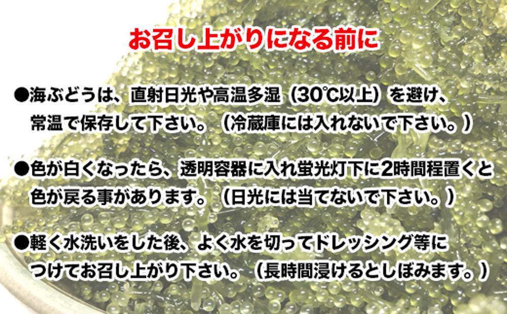 新鮮！海ぶどう300g I  海ぶどう 沖縄海ぶどう 海藻 ぷちぷち食感 ギフト おつまみ 沖縄県 南城市 ふるさと納税 一般社団法人 南城市観光協会 南城市地域物産館