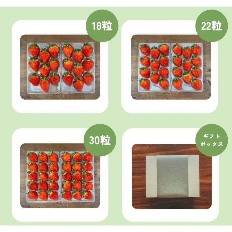 【先行予約】越後姫 中粒いちご 越後姫 約200g×2P 渡辺農園