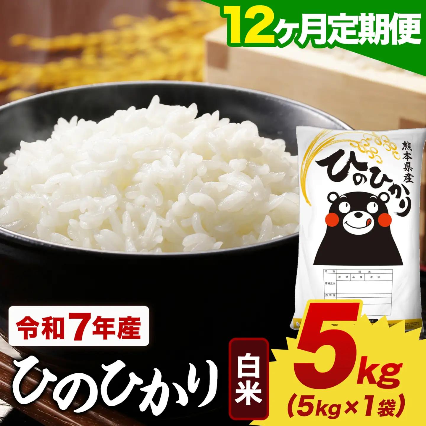 【12ヶ月定期便】令和7年産 ひのひかり 定期便 5kg(5kg×1袋)《お申込み翌月から出荷》
