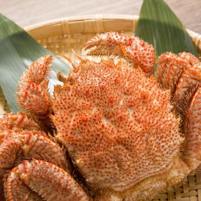 ふるさと納税 網走市 【網走産】毛がに660g前後×1杯 |  | 02