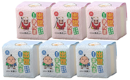 キューブ米 出世まんま・太古まんま・お茶まんま 詰め合わせ 300g×6個セット 無洗米 真空パック