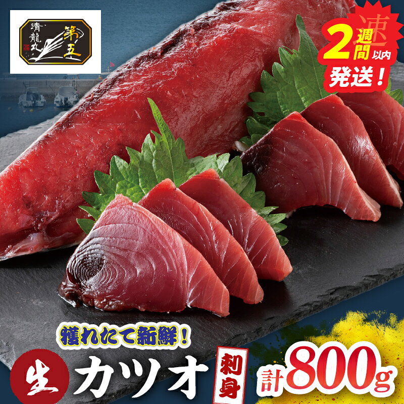 【ふるさと納税】獲れたて 新鮮 生カツオ刺身 計800g 魚 魚介類 海鮮 食品 国産 鰹 かつお さしみ 刺し身 赤身 急速冷凍 小分け 真空パック 個包装 ギフト 贈り物 贈答 プレゼント おすそ分け 自宅用 家庭用 おすすめ おかず おつまみ 海の幸 宮崎県 日南市 送料無料