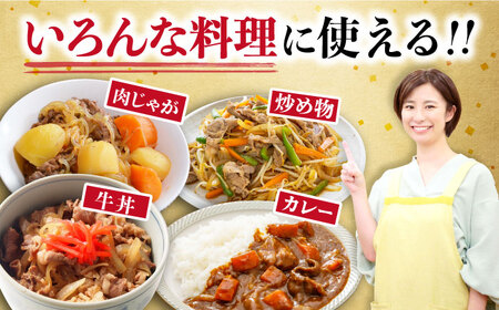【6回定期便】 内閣総理大臣賞受賞！長崎和牛 切り落とし 400g 総計2.4kg 大村市 かとりストアー[ACAN070]