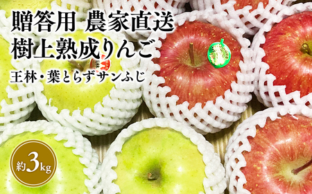 ふるなび限定品！！【11～12月発送】贈答用 農家直送 樹上熟成りんご 王林・葉とらずサンふじ 約3kg【平川市産・青森りんご】