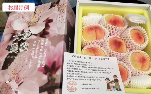 【2027年先行予約】 家庭用 白桃 匠の白桃 約1.3kg（4～6玉） 岡山県 一宮産 数量限定 ～旬の美味しさ 犬塚農園からお届け～