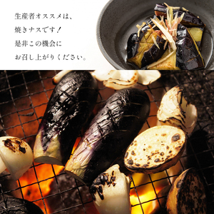 なす 3kg 和水町産 野菜 5月下旬～発送いたします 野菜