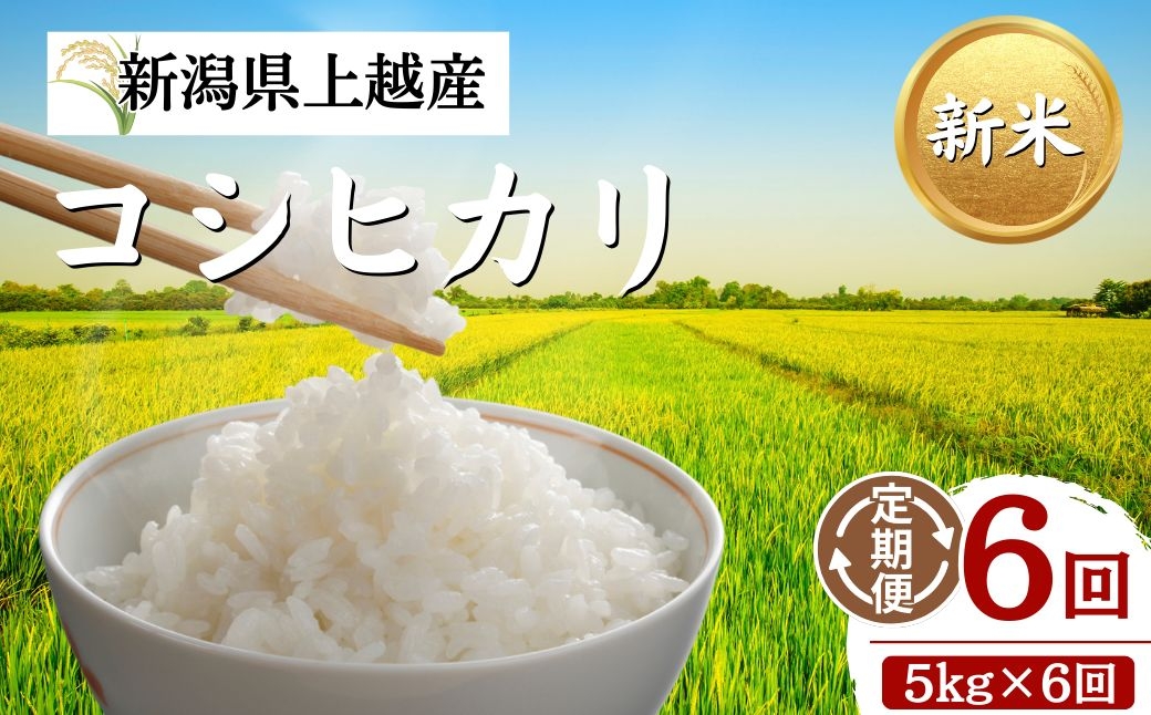 
                  令和8年産 新潟県上越市産 コシヒカリ 定期便 5kg×6回 30kg 新米 先行予約 こしひかり 大潟ナショナルカントリー
                
