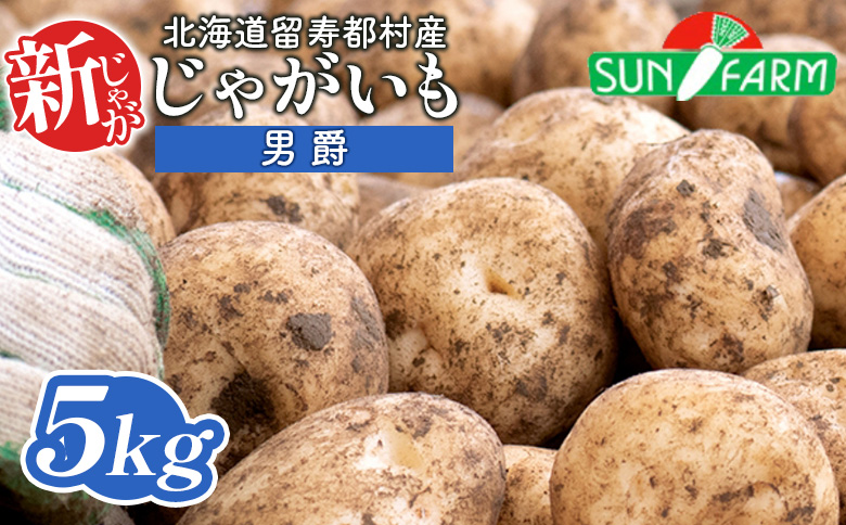 新じゃがいも（男爵） 5kg【2401401】
