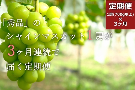 【2026年発送】【定期便3ヶ月】「秀品」シャインマスカット700g以上(1房)×3ヶ月_H106(R8)